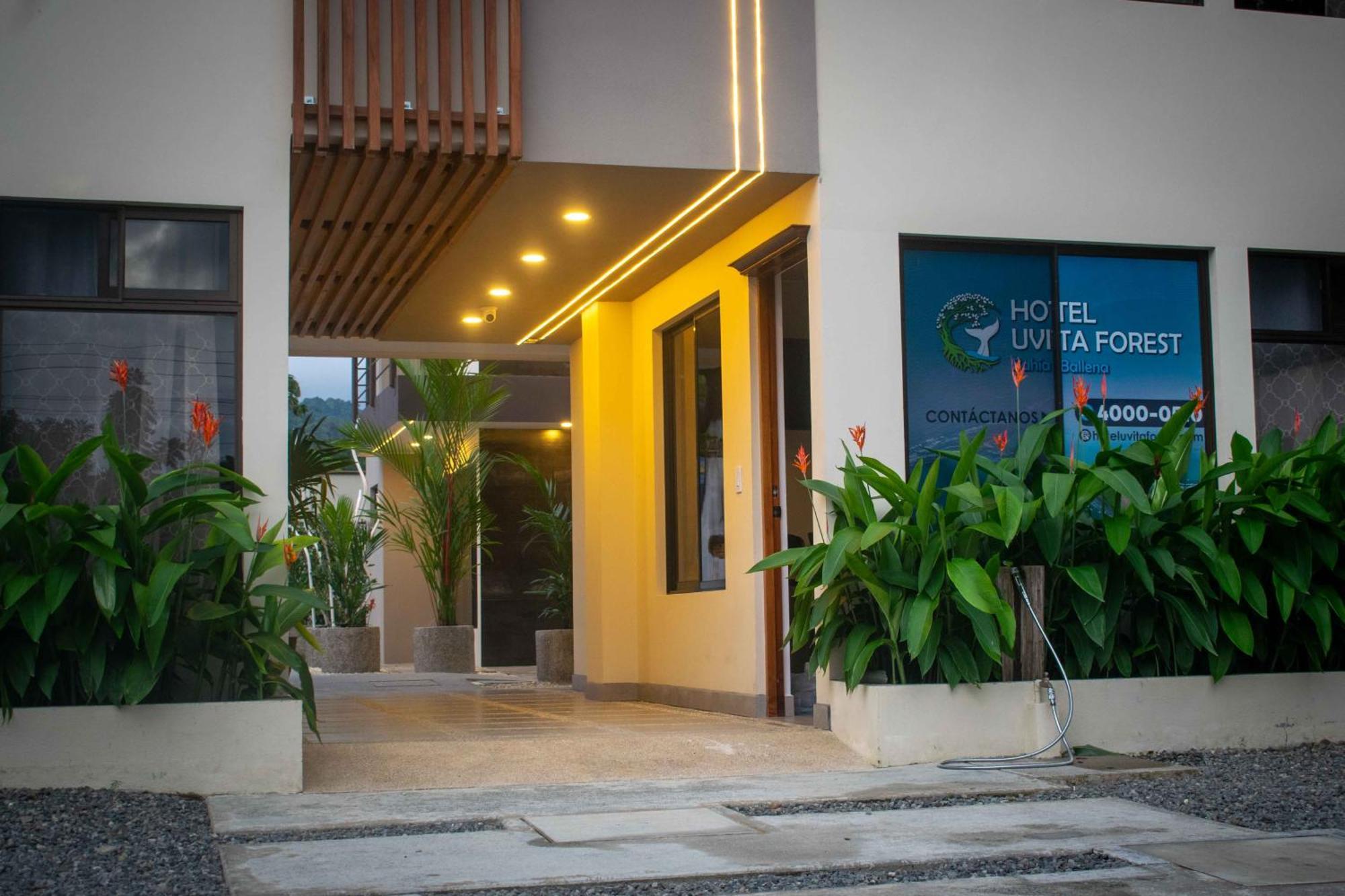 Hotel Uvita Forest Экстерьер фото